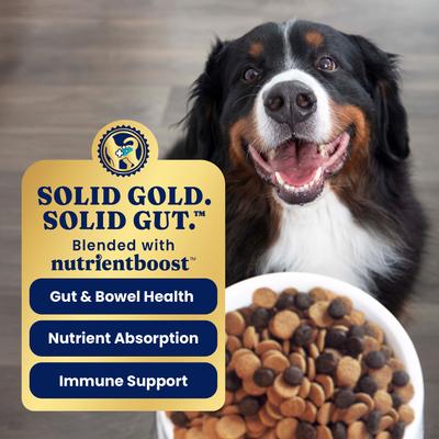 SOLID GOLD Large Breed Puppy Gut Health Real Bison Oatmeal Whole