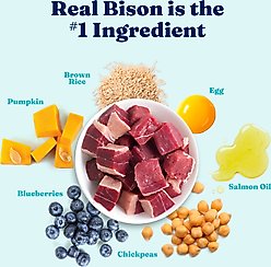 Solid Gold Large Breed Puppy Gut Health Real Bison & Oatmeal Whole Grain Dry Dog Food, 22-lb bag slide 2 of 9