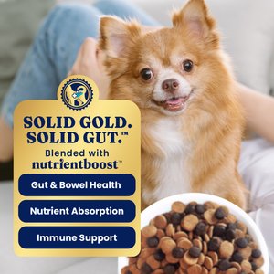 Solid Gold Toy & Small Breed Gut Health Real Chicken, Chickpea & Pumpkin Grain-Free Dry Dog Food, 11-lb bag
