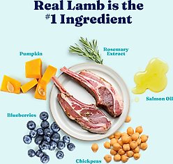 Solid Gold Toy & Small Breed Gut Health Real Lamb & Sweet Potato Grain-Free Dry Dog Food, 11-lb bag slide 2 of 9