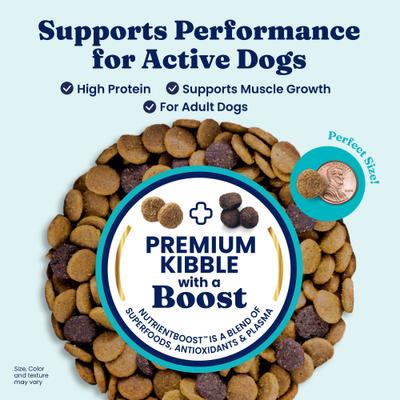 Show full view: Solid Gold High Protein Gut Health Real Beef, Egg & Pea Grain-Free Dry Dog Food, 3.75-lb bag slide 3 of 12