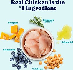 Solid Gold Toy & Small Breed Gut Health Real Chicken, Chickpea & Pumpkin Grain-Free Dry Dog Food, 11-lb bag slide 2 of 9