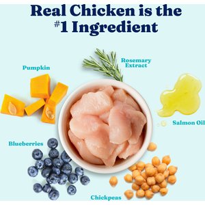 Solid Gold Toy & Small Breed Gut Health Real Chicken, Chickpea & Pumpkin Grain-Free Dry Dog Food, 11-lb bag