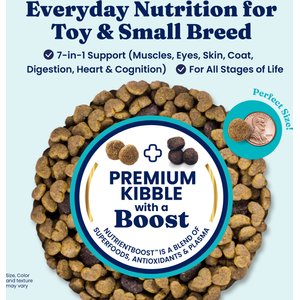 Solid Gold Toy & Small Breed Gut Health Real Chicken, Chickpea & Pumpkin Grain-Free Dry Dog Food, 11-lb bag