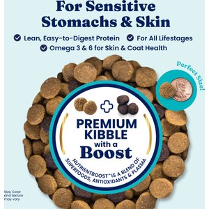 Solid Gold Sensitive Stomach Gut Health Cold Water Salmon & Vegetable Recipe Grain-Free Dry Dog Food for Medium & Large Dogs, 22-lb bag