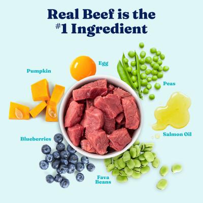 Show full view: Solid Gold High Protein Gut Health Real Beef, Egg & Pea Grain-Free Dry Dog Food, 22-lb bag slide 4 of 12