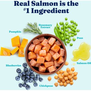 Solid Gold Sensitive Stomach Gut Health Cold Water Salmon & Vegetable Recipe Grain-Free Dry Dog Food for Medium & Large Dogs, 22-lb bag