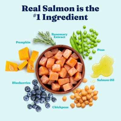 Show full view: Solid Gold Sensitive Stomach Gut Health Cold Water Salmon & Vegetable Grain-Free Dry Dog Food, 3.75-lb bag slide 4 of 12