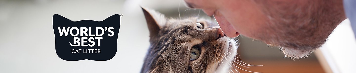World's Best Cat Litter