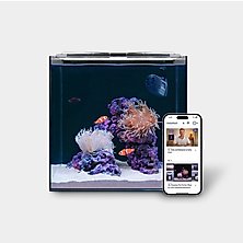 Saltwater Tanks & Aquarium Kits