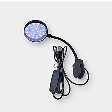 Saltwater Lighting