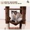 Show in main carousel: MWPO 63.8-in Multi-Level Cat Tree with Condo & Hammock, Brown slide 5 of 11