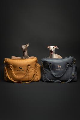 Show full view: Noah & Paw Washable Dog Car Seat Carrier, Medium, Charcoal slide 9 of 11