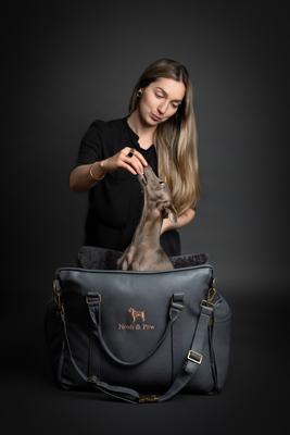 Show full view: Noah & Paw Washable Dog Car Seat Carrier, Medium, Charcoal slide 8 of 11