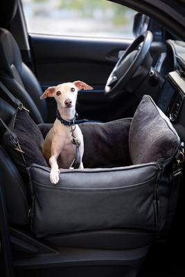 Show full view: Noah & Paw Washable Dog Car Seat Carrier, Medium, Charcoal slide 2 of 11