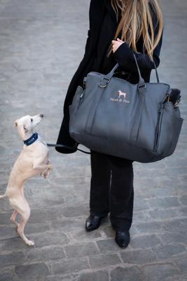 Show full view: Noah & Paw Washable Dog Car Seat Carrier, Medium, Charcoal slide 3 of 11