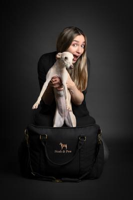 Show full view: Noah & Paw Washable Dog Car Seat Carrier, Medium, Charcoal slide 8 of 10