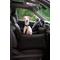 Show in main carousel: Noah & Paw Washable Dog Car Seat Carrier, Medium, Charcoal slide 4 of 10