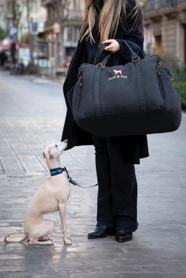 Show full view: Noah & Paw Washable Dog Car Seat Carrier, Medium, Charcoal slide 3 of 10