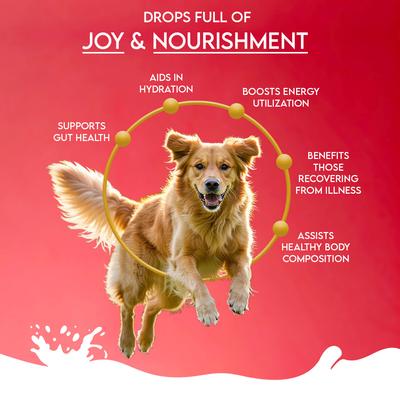 Show full view: Pawfect Nature's Sip Camel Milk Powder with Apple, Coconut, Beetroot & Mint Grain-Free Dog Food Topper & Liquid Treat, 5.29-oz carton slide 5 of 10