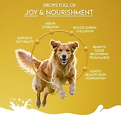 Pawfect Nature's Sip 100% Camel Milk Powder Digestive Supplement for Dogs, 10-oz jar slide 2 of 7