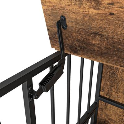 Show full view: Yafylly 360 Degree Rotation Adjustable Elevated Dog Bowl slide 6 of 10