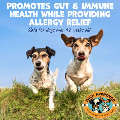 Show full view: Pack Approved Peanut Butter Allergy Supplement with Colostrum for Dogs, 8.46-oz slide 4 of 8