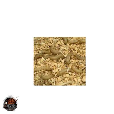 Show full view: ABDragons 2 Week Leopard Gecko Meal Plan, Adult slide 3 of 6