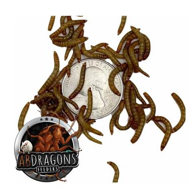 Show full view: ABDragons 2 Week Crested Gecko Meal Plan, Juvenile slide 5 of 8