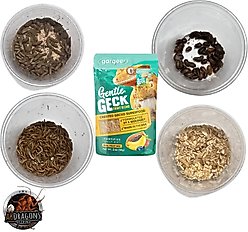 ABDragons 2 Week Crested Gecko Meal Plan, Adult