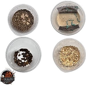 ABDragons 2 Week Bearded Dragon Meal Plan, Adult