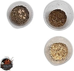 ABDragons 2 Week Fat Tailed Gecko Meal Plan, Adult