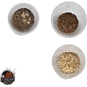 ABDragons 2 Week Fat Tailed Gecko Meal Plan, Adult