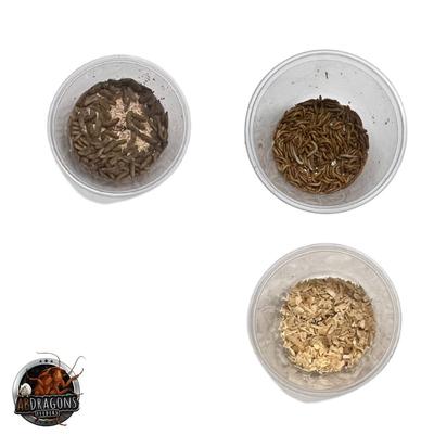 Show full view: ABDragons 2 Week Fat Tailed Gecko Meal Plan, Adult slide 1 of 5