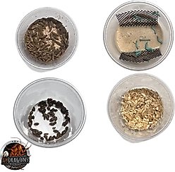 ABDragons 2 Week Bearded Dragon Meal Plan, Juvenile