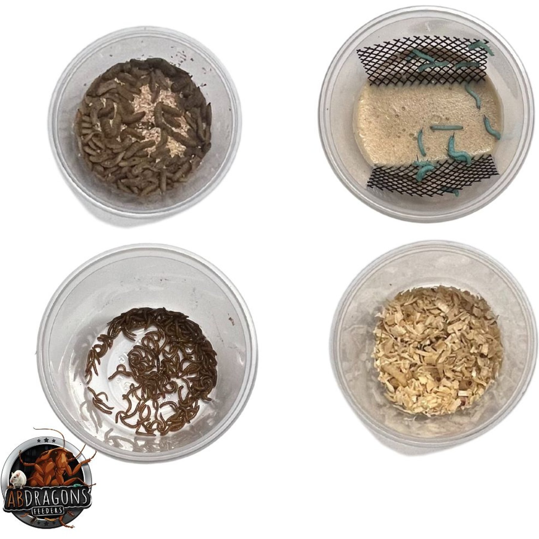 ABDragons 2 Week Leopard Gecko Meal Plan, Juvenile
