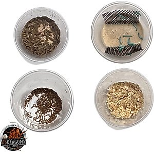 ABDragons 2 Week Leopard Gecko Meal Plan, Juvenile