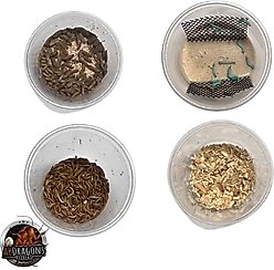 ABDragons 2 Week Leopard Gecko Meal Plan, Adult