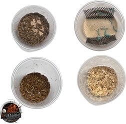 ABDragons 2 Week Leopard Gecko Meal Plan, Adult