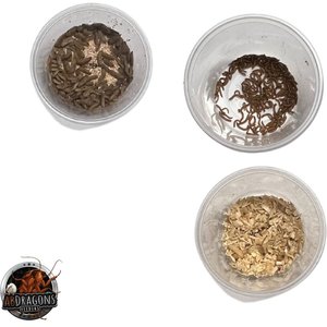 ABDragons 2 Week Fat Tailed Gecko Meal Plan, Juvenile