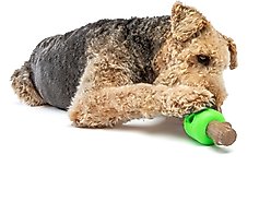 GURU Spin & Treat Stick Treat Dispensing Dog Toy, Medium slide 2 of 5