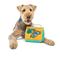 Show in main carousel: GURU Super Guru Fun Box Interactive Treat & Puzzle Dog Toy slide 3 of 5