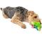 Show in main carousel: GURU Loveys Frog Plush Interactive Squeak Dog Toy slide 5 of 6