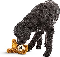 GURU Loveys Bear Plush Interactive Squeak Dog Toy slide 2 of 5