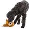 Show in main carousel: GURU Loveys Bear Plush Interactive Squeak Dog Toy slide 5 of 5