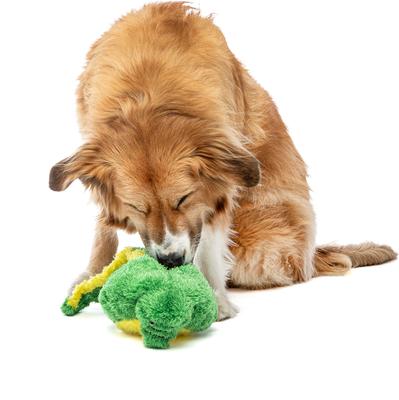 Show full view: GURU Hide-A-Tail Alligator Crinkle & Squeak Puzzle Dog Toy, Medium slide 2 of 4