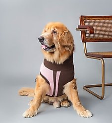 pupp st. Marcy Dog Sweater, Pink, XX-Large