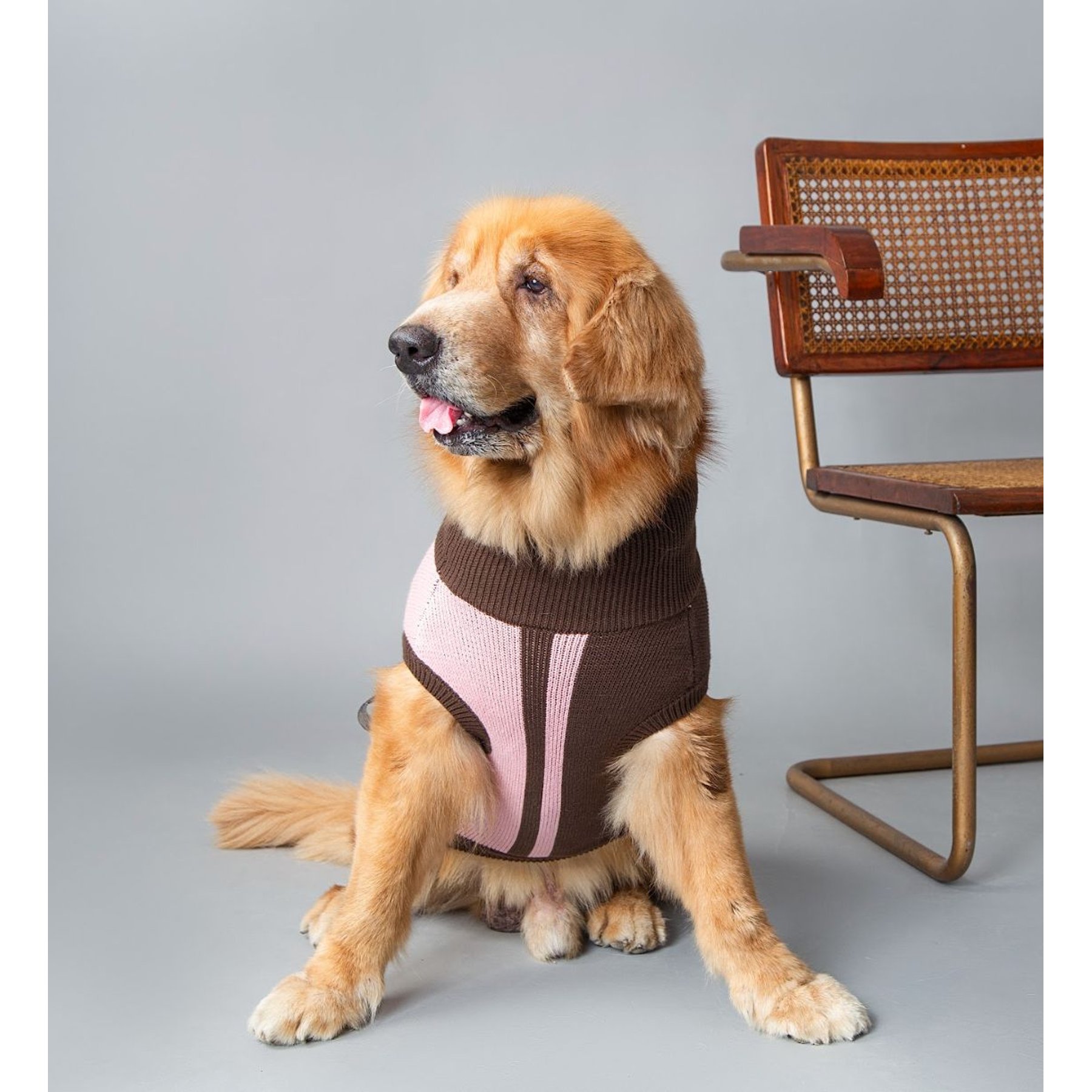 トップス andmary Doggy fur tops beige ANDMARY】Doggy fur tops