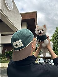 pupp st. OG Hat, Green