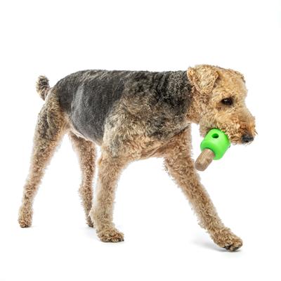 Show full view: GURU Spin & Treat Stick Treat Dispensing Dog Toy, Large slide 3 of 7